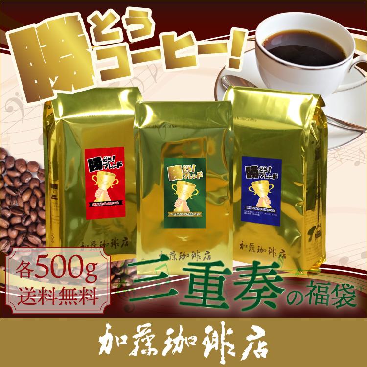 勝とうコーヒー三重奏の福袋 緑 青 赤 各500g 送料無料 コーヒー 珈琲 加藤珈琲 スペシャルティ グルメコーヒー豆専門 加藤珈琲店 通販 Paypayモール