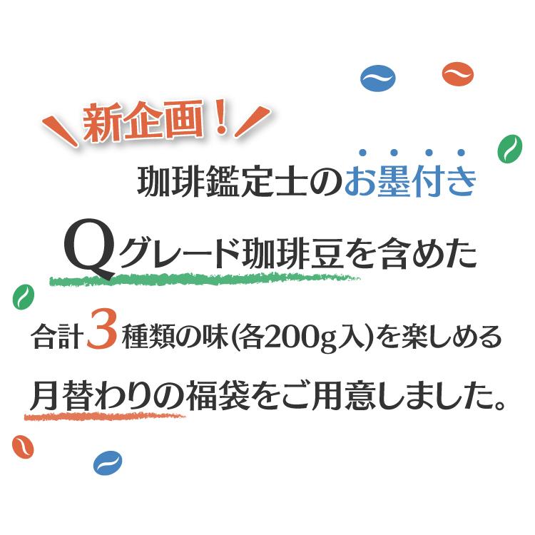 売り切れ必至 お試しマンスリー福袋 青 Qニカ ヨーロ各0g袋 珈琲豆 Materialworldblog Com