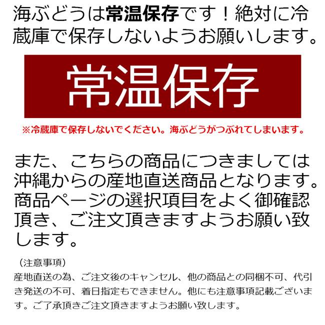 海ぶどう80g入り　美らぶどう　沖縄県産　生ぶどう　大粒　常温　冷蔵庫保管不可　産直商品　同梱不可　キャンセル不可【常温】｜gourtairiku｜12