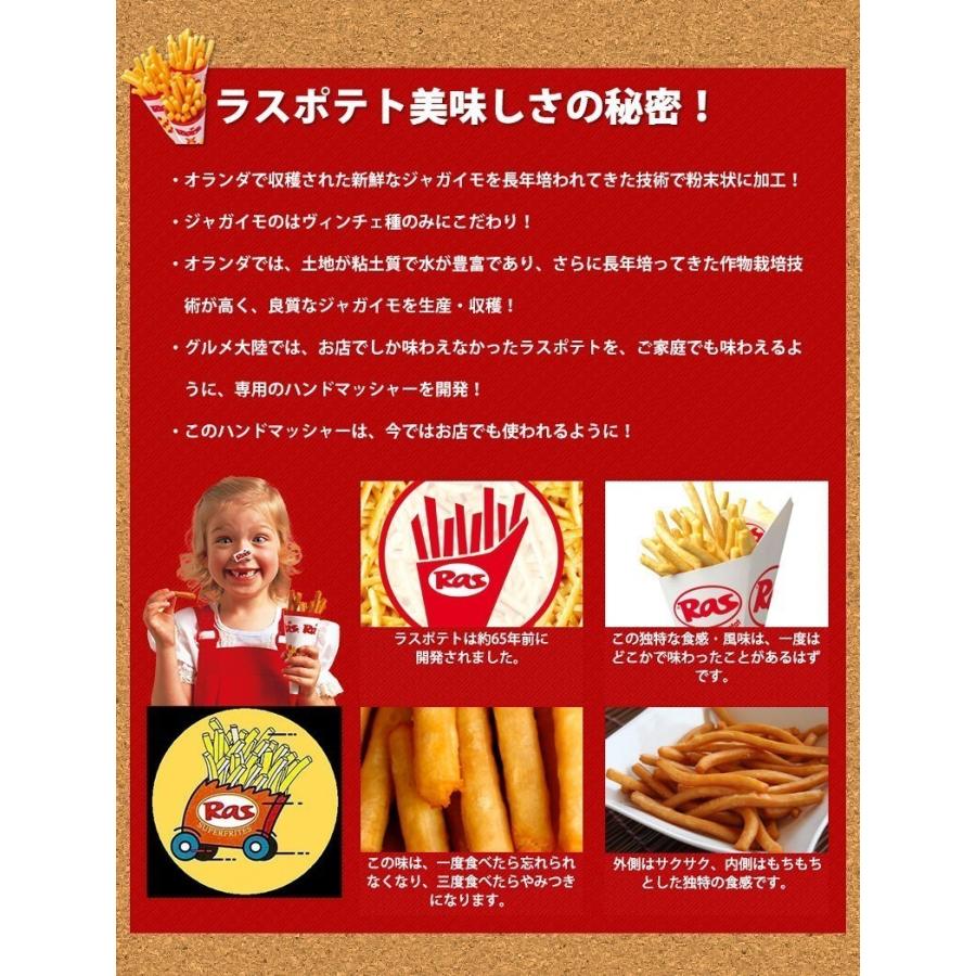 ラスポテトの素（スーパーフライパウダー） 10パックセット】 送料無料