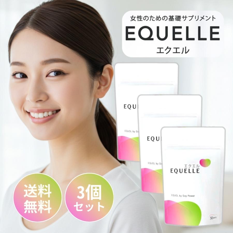 大塚製薬 エクエル パウチ エクオール 120粒入り 3袋 : ゴヲヲストア