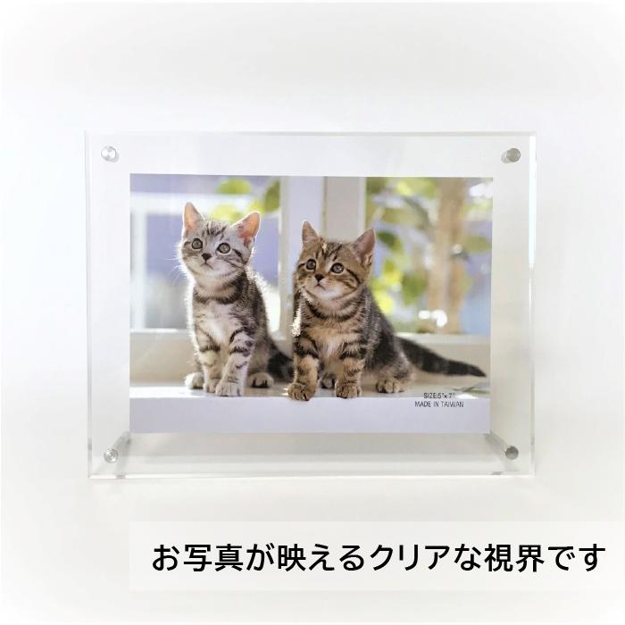 互陽 アクリルフレーム はがき A6サイズ ビス間収納サイズ115x165mm　スタンド付き 壁かけ対応  縦横兼用 透明 フォトフレーム 【改良版】 写真立て
