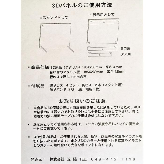 互陽 エレガンリージュ 3D アクリルフレーム 透明 クリア 壁掛け 卓上 立体 写真立て |  | 09
