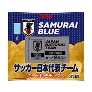 カルビー サッカー日本代表チームチップス2018 22g × 24袋入 ケース