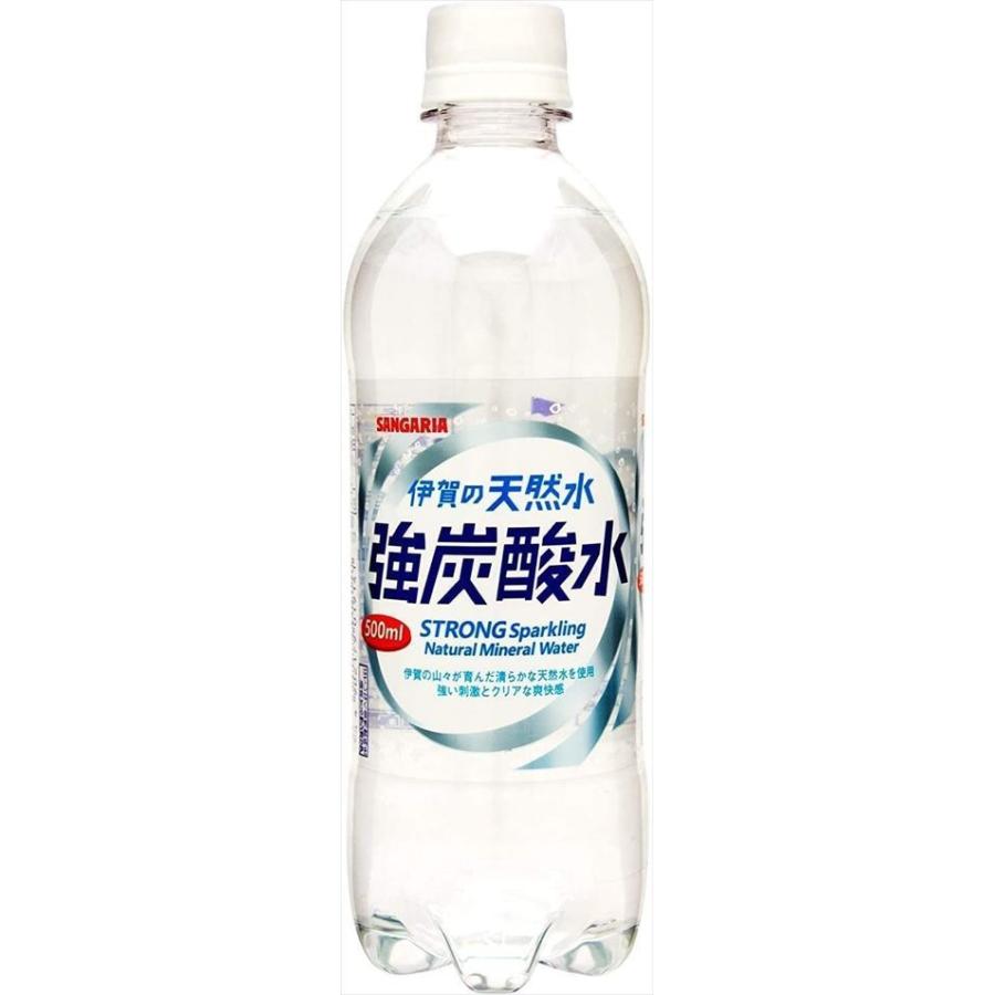 送料無料 サンガリア 伊賀の天然水 強炭酸水 500ml × 48本 2ケース 売れ筋ランキング