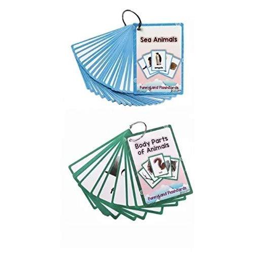 Training Toy 英語 フラッシュカード 英単語 アルファベット 読み上げ機能付 海の生き物 動物の体の部位 Mhp26v5tc3 おもちゃ Www Lecascate It