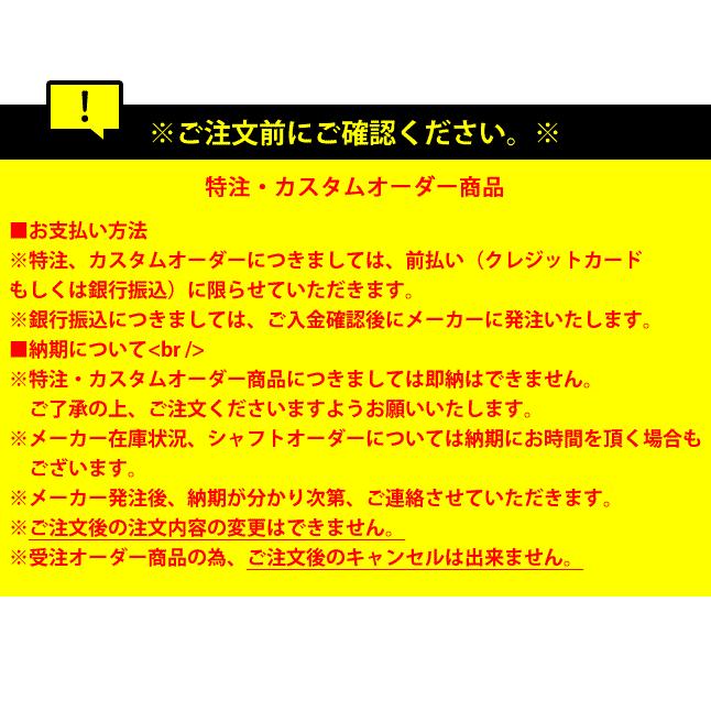 ピン パター オスロ H OSLO H 2021 PING PUTTER ネオマレット型 大型