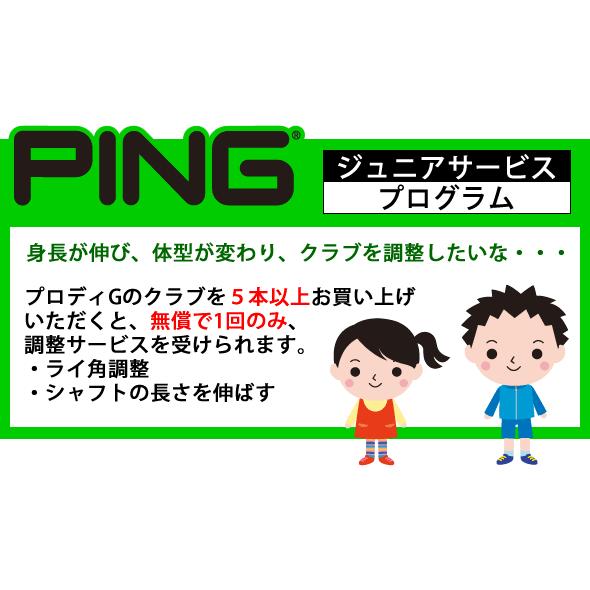 シャフト新品ピン ジュニアProdiGアイアン5本セット155センチ