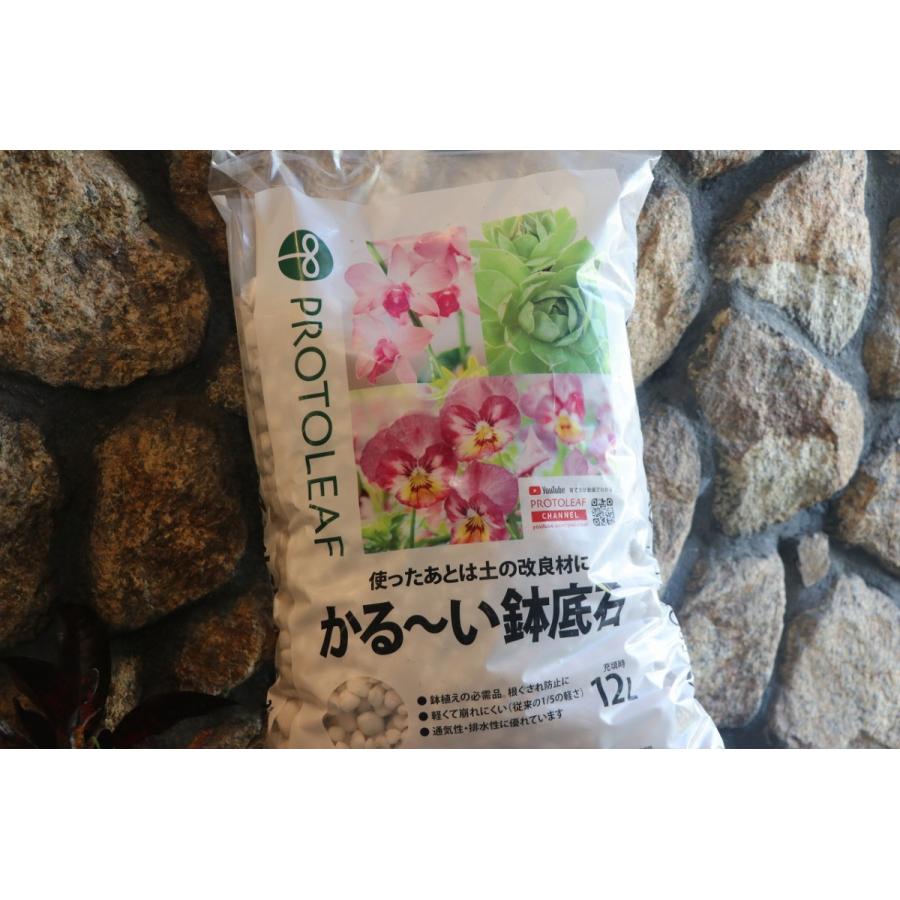 プロトリーフ かる〜い鉢底石 12リットル :4535885006121:グリーンプラザ山長ヤフーショッピング店 - 通販 - Yahoo!ショッピング プロトリーフ かる〜い鉢底石 12リットル :4535885006121:グリーンプラザ山長ヤフーショッピング店 - 通販 - Yahoo!ショッピング