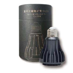Ever Sun 365 mini 12W BLACK エバーサン 植物育成ライト 育成電気