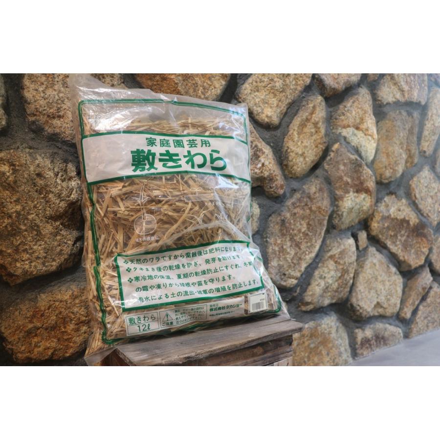 好評にて期間延長 越の敷きわら ２４ｌ 約３ ８ｃｍカットサイズ お一人様６点限り