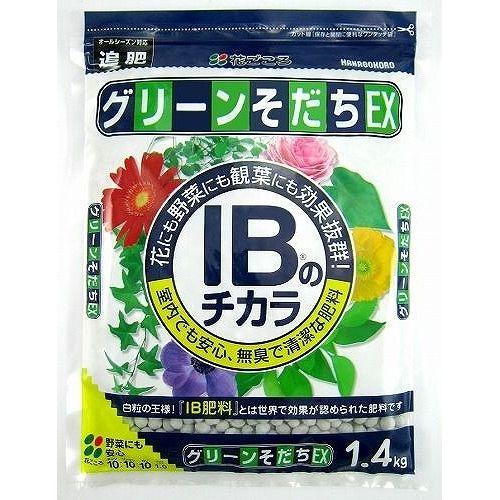グリーンそだちEX 1.4kg 追肥 緩効性肥料 IB化成 : グリーン