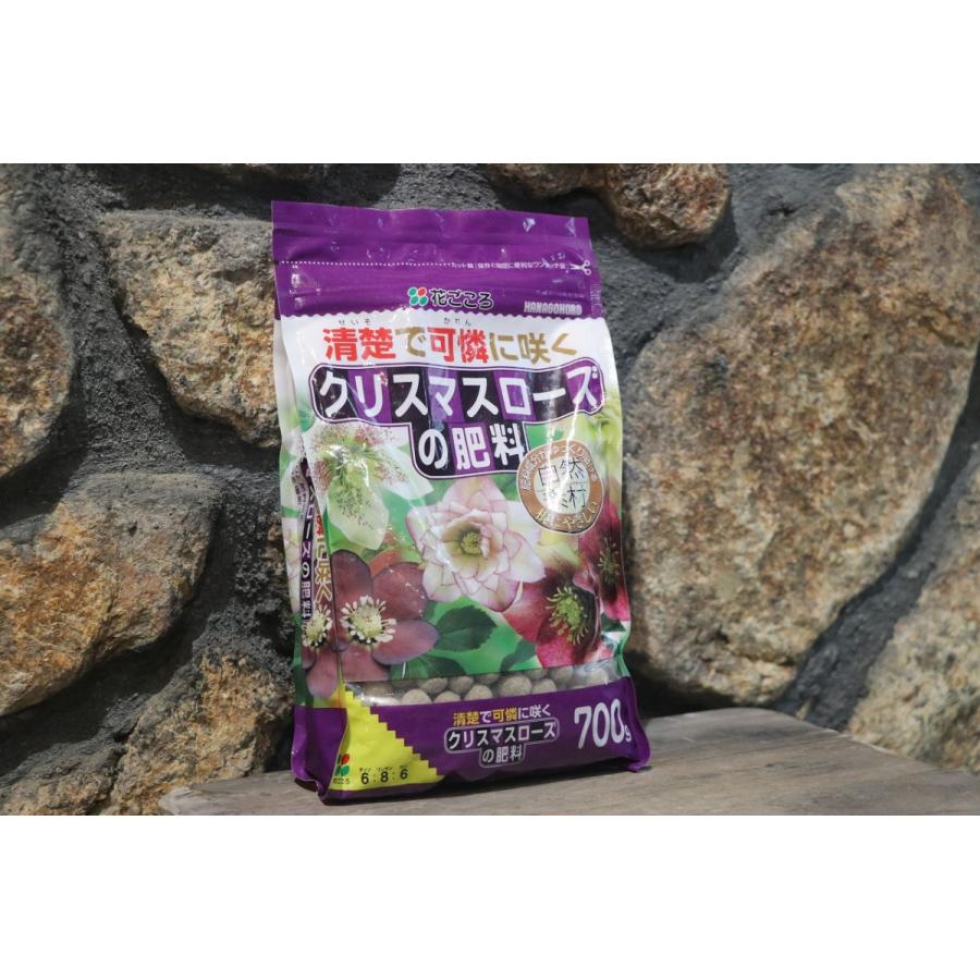 花ごころ クリスマスローズの肥料 700g 専用肥料 : グリーンプラザ山長