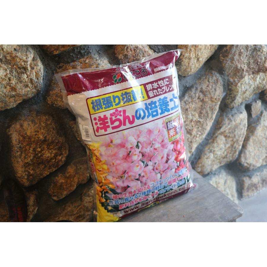 グリーンプラン 培養土 シンビジューム