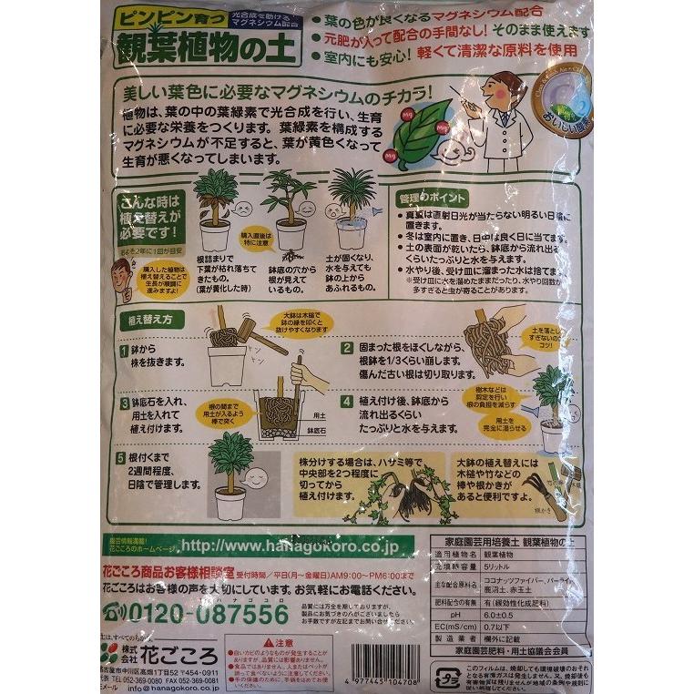 最大84 オフ 花ごころ 観葉植物の土 １２ｌ お一人様６点限り Riosmauricio Com
