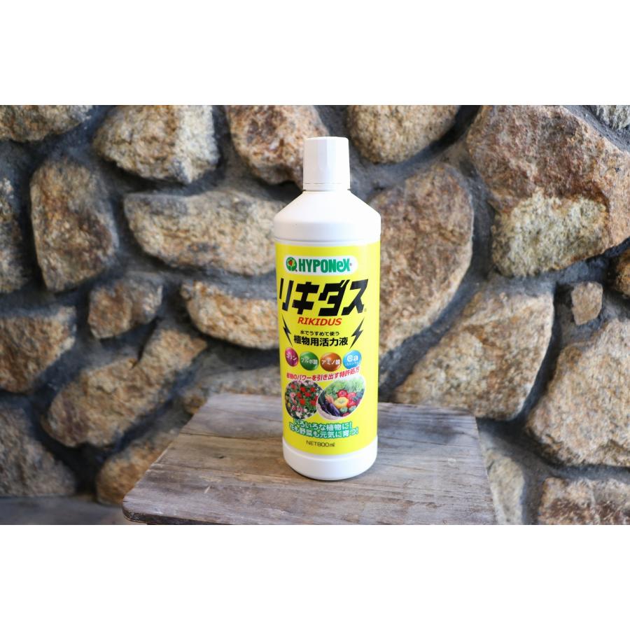 ハイポネックス リキダス 800ml 活力液 : グリーンプラザ山長ヤフー