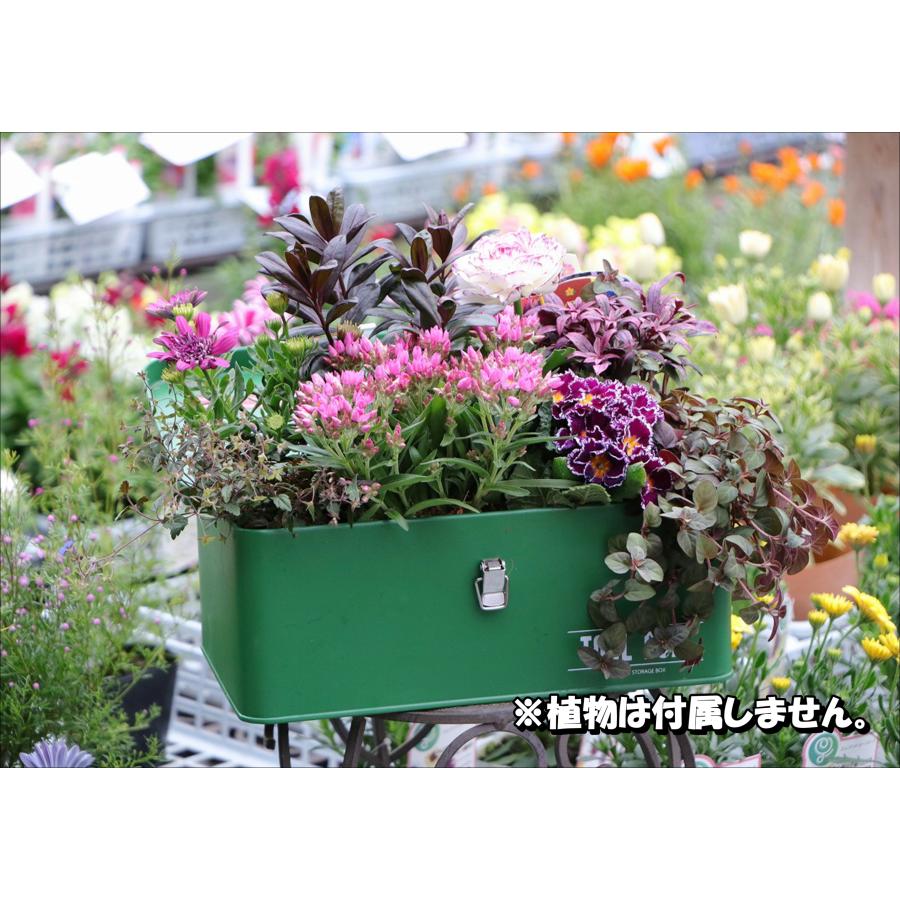 ウティ・ボックス 工具箱 おしゃれ スチール 小物入れ 園芸