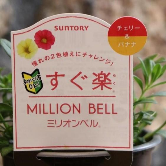 サントリー すぐ楽 ミリオンベル チェリー&バナナ 3.5号ポット苗