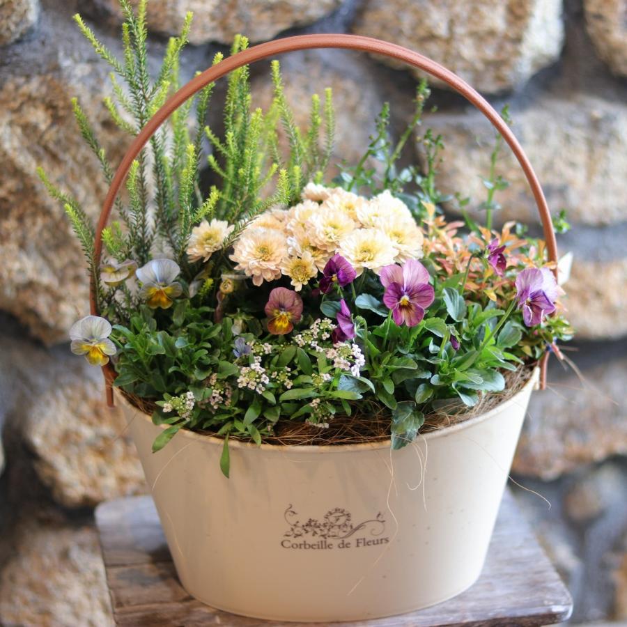 当店オリジナル】 持ち手付き♪ニュアンスカラーの寄せ植え 【現品