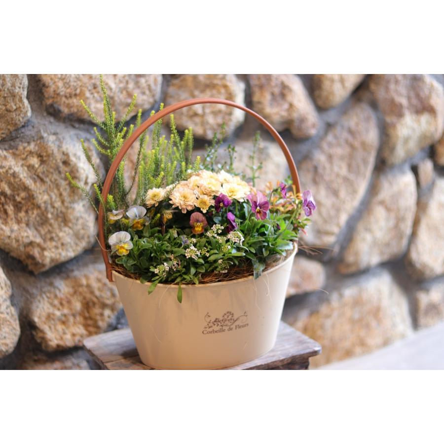 当店オリジナル】 持ち手付き♪ニュアンスカラーの寄せ植え 【現品