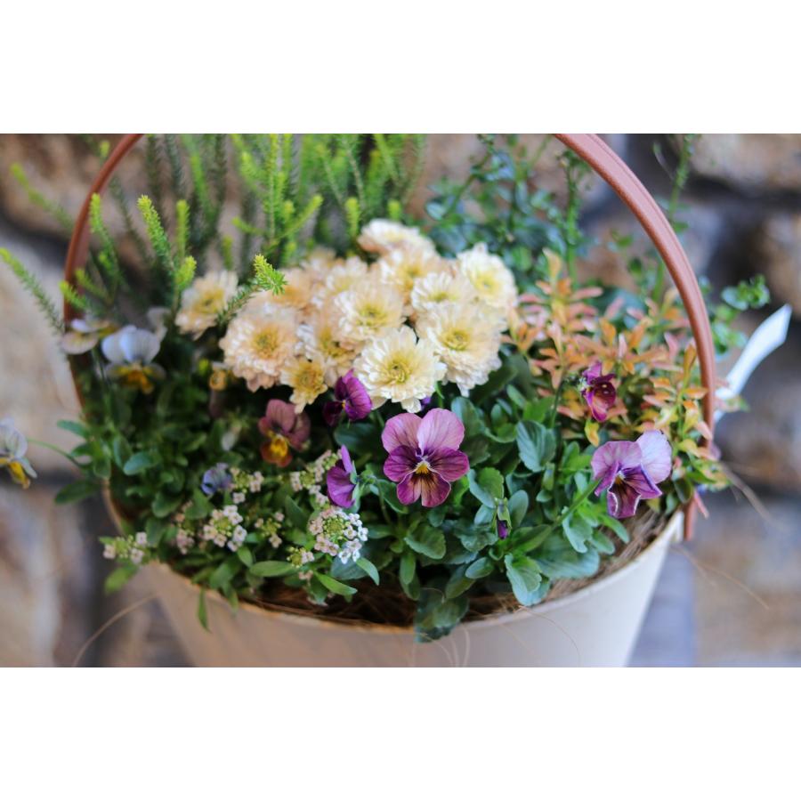 当店オリジナル】 持ち手付き♪ニュアンスカラーの寄せ植え 【現品