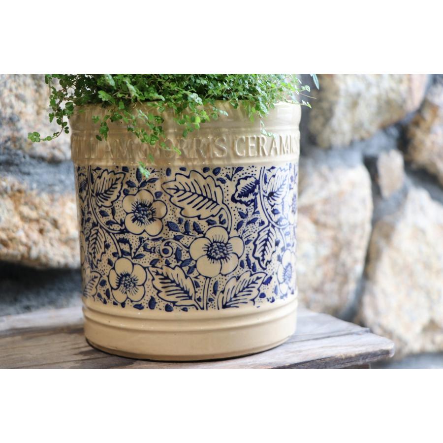 当店オリジナル】 ウィリアムモリス陶器鉢の観葉植物の寄せ植え 【現品