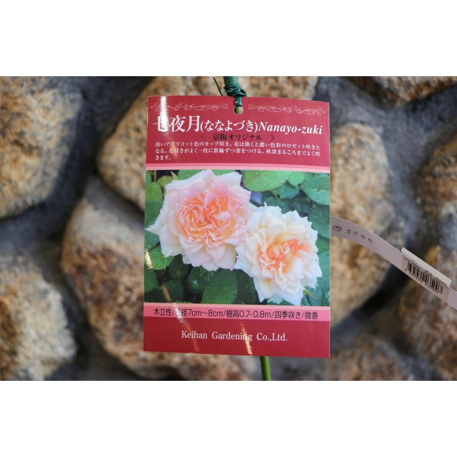 薔薇生花 9月長月様 薔薇生花 9月長月様 29本のバラの花束-永遠に愛し