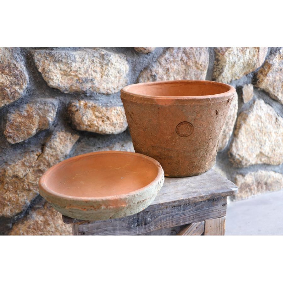 英国　Kew Garden オーキッドのスケッチのプリント木製フレ入り付き 英国Kew Garden オーキッドのスケッチのプリント木製フレ入り付き