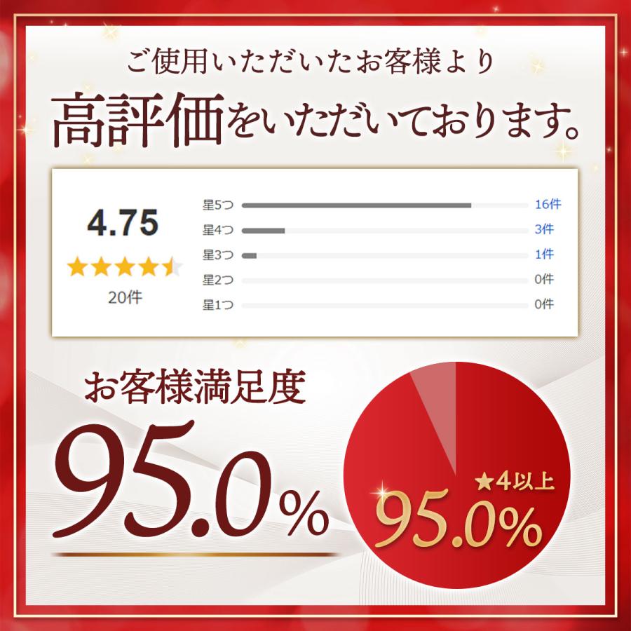 トートバッグ レディース ミニ 小さめ 帆布 ランチバッグ 手提げ ハンドバッグ リボン おしゃれ |  | 05