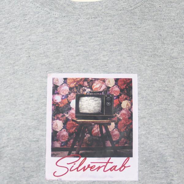 Levi's（リーバイス） シルバータブ グラフィック Tシャツ リラックス