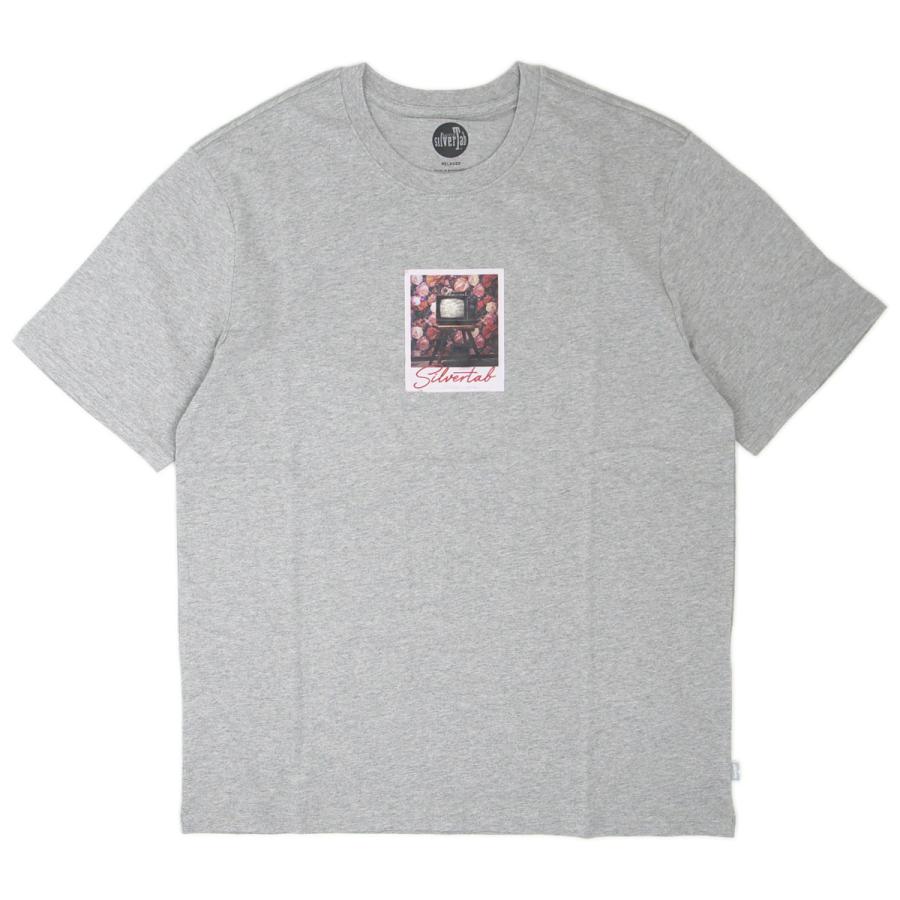 Levi's（リーバイス） シルバータブ グラフィック Tシャツ リラックス