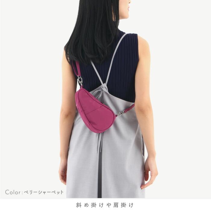 未使用のHealthy Back BagとBack Bagミニ ２点セットです The Healthy Back Bag ヘルシーバックバッグ HEALTHY BACK BAG