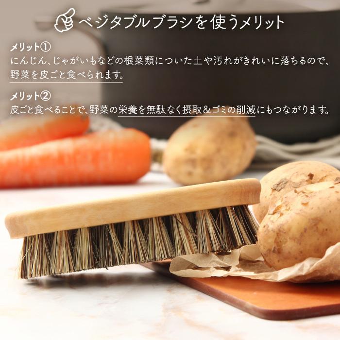 イリス・ハントバーク ベジタブルブラシ【キッチン用品 1140-00 プラスチックフリー 脱プラ エシカル 台所用品 天然素材】｜gpecoe｜08