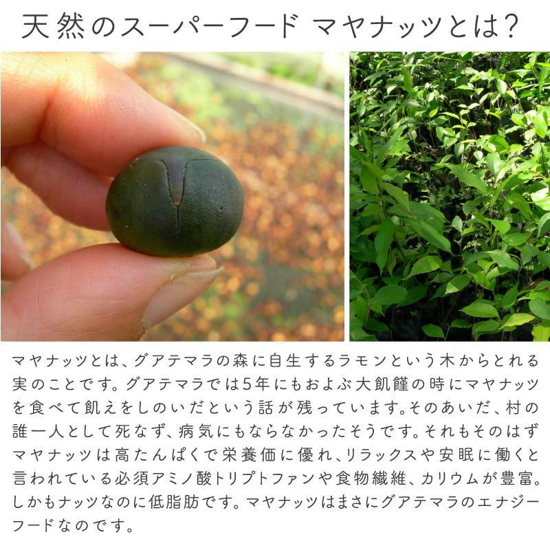 マヤナッツコーヒー風 1kg メール便可 3つまで》MAYA NUTS マヤナッツ コーヒー風飲料