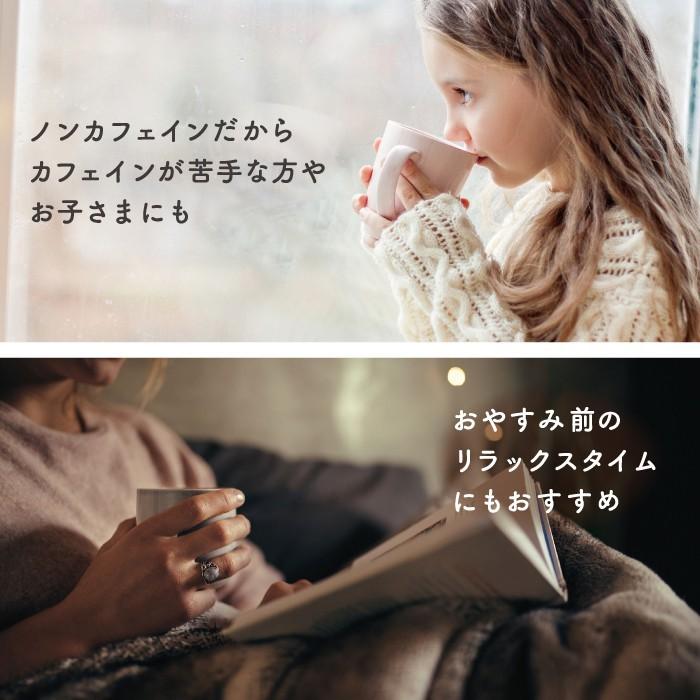 メール便可 3つまで》MAYA NUTS マヤナッツ コーヒー風飲料