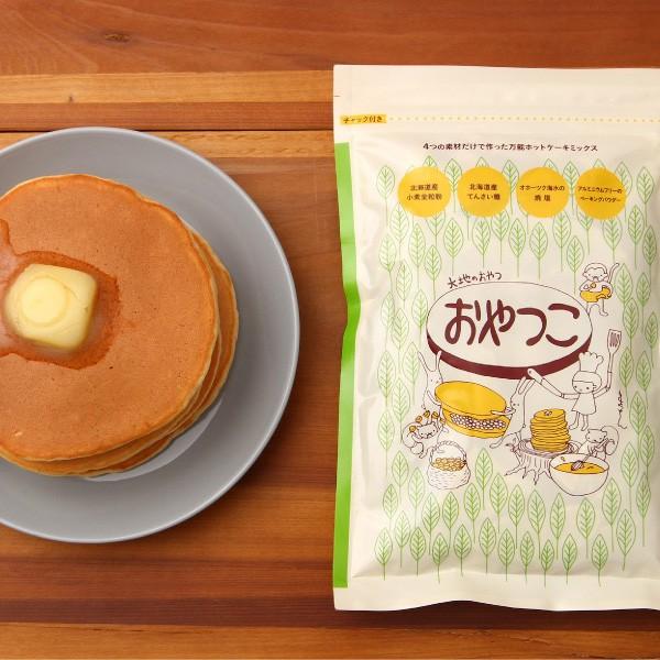 セール 登場から人気沸騰 おやつ フード お菓子 大地のおやつ おやつこ 国産 アルミニウム