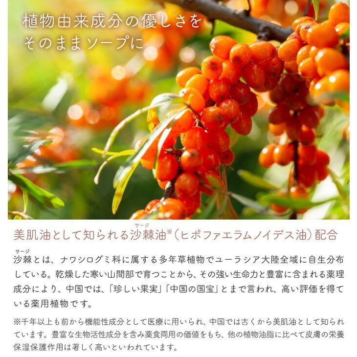 pecora bianca サポー（化粧石けん） ペコラビアンカ 植物成分 無着色 サステナブル 生分解 国産 ボディシャンプー 洗顔 エコ バスグッズ 石けん ギフト |  | 02