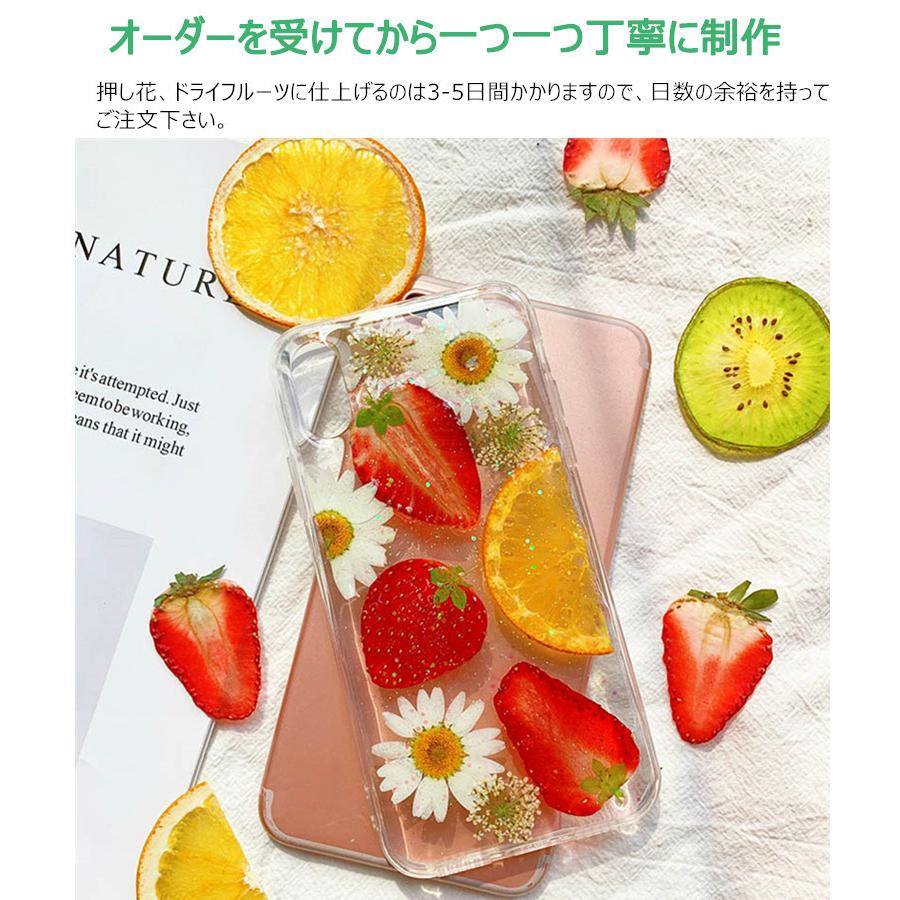 押し花 ドライフルーツセット