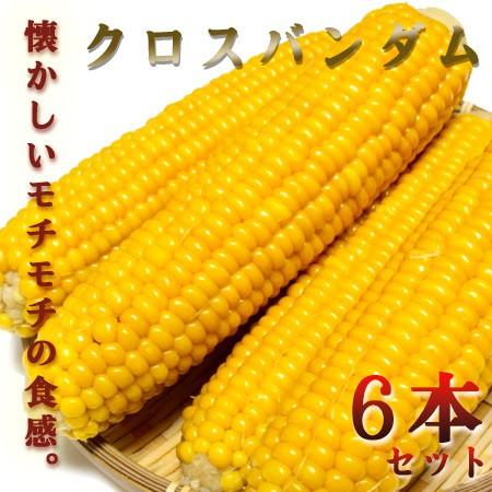 クロスバンダム 昔とうきび ６本セット 送料無料 もちもち食感 昔懐かしのとうもろこし 市場から姿を消して四半世紀が復活 北海道グルメプレイス 通販 Yahoo ショッピング