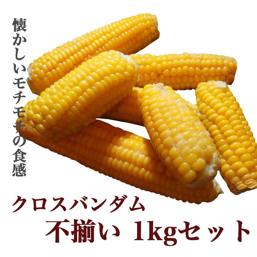 クロスバンダム 昔とうきび 不揃いの少々サイズ品 １キロセット 送料無料 もちもち食感 昔懐かしのとうもろこし 市場から姿を消して四半世紀が復活 北海道グルメプレイス 通販 Yahoo ショッピング