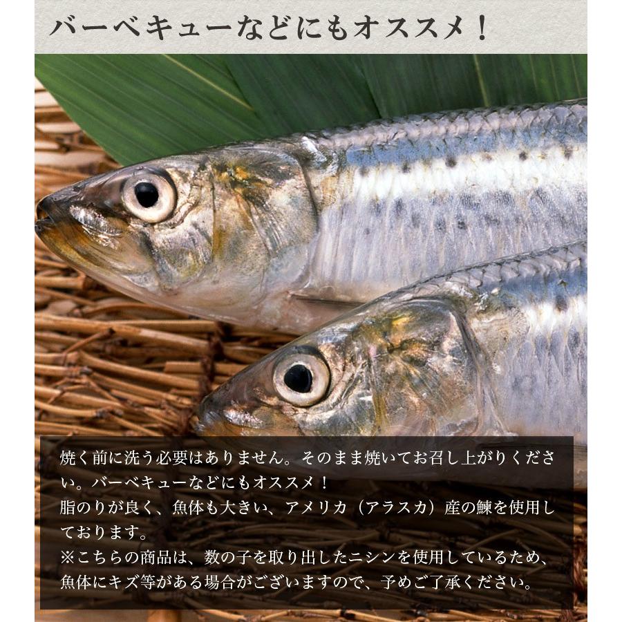おから にしん 番屋漬 燻製風味 5尾セット 化粧箱入 お酒のおつまみにも最適 鰊 ニシン かずのこ 北海道 魚 焼き魚 お歳暮 ギフト 贈り物 北海道グルメプレイス 通販 Yahoo ショッピング