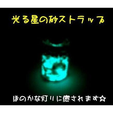 暗所で発光 蓄光 ラッキーアイテム 光る星の砂 ストラップ 幸運を呼ぶ幸せの星砂 Gp 1001 蓄光堂 Yahoo 店 通販 Yahoo ショッピング