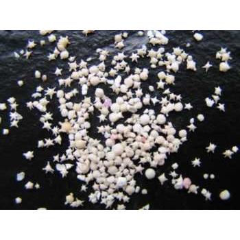 幸せを呼ぶ 星の砂 純100% 沖縄産 星砂 50ｇ |  | 02