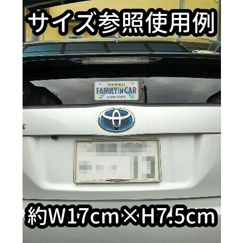 2525 車 ステッカー ハワイ ナンバー プレート調 ニコニコ 人気ナンバープレート番号 25 25 ハワイアン アロハ 虹 Hls 2525 蓄光堂 Yahoo 店 通販 Yahoo ショッピング