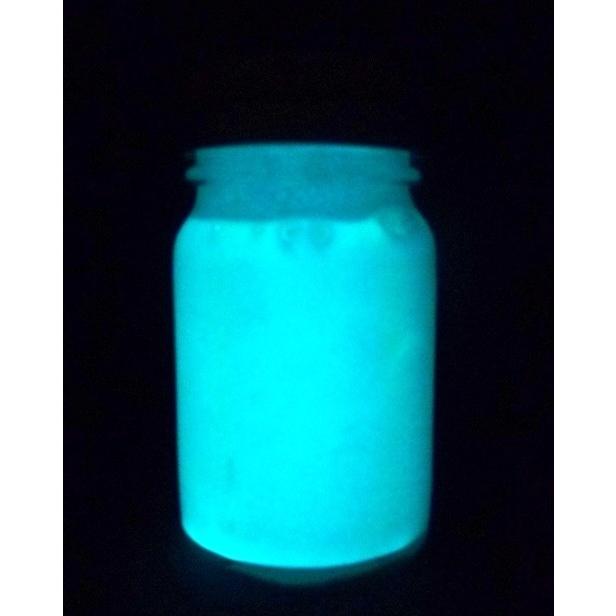 光る 蓄光塗料 蓄光ペイント 1.000ml 蓄光 夜光 高輝度 長残光