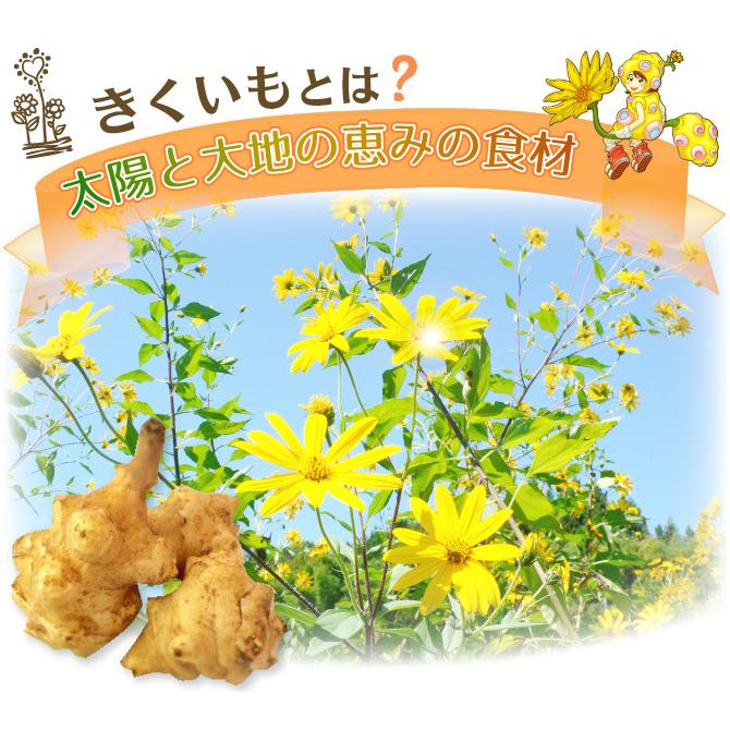 機能性表示食品へリニューアル廃版予定・キクイモ生活 粒タイプ 450粒 菊芋の恵みを満喫日本糖尿食研監修品 発送日本全国送料無料 自然のイヌリン成分 |  | 01