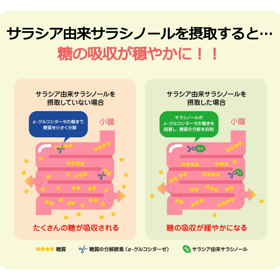 ズバリ機能性表示食品・すっきりサラシアプレミアム(1g×30スティック)日本国内のタカノ株式会社製造 カード決済限定レターパックライト発送全国送料無料に |  | 02