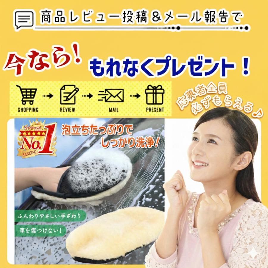 アロマディフューザー 車用 水なし芳香剤 コードレス ネプライザー