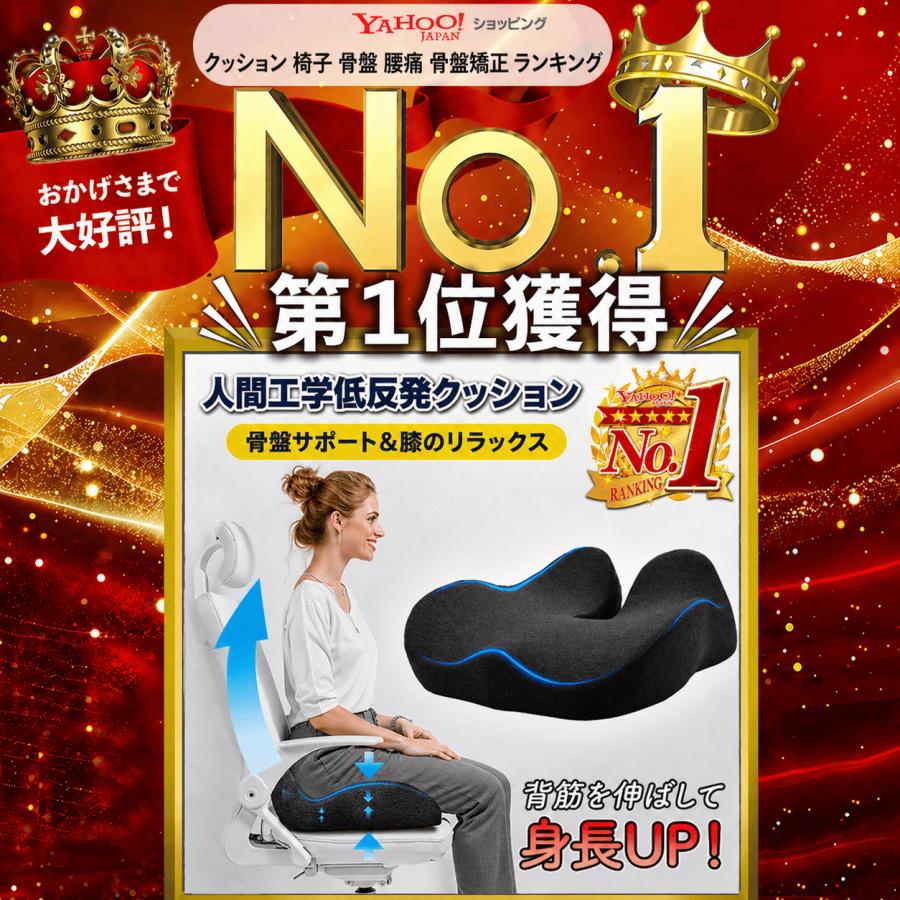 クッション 椅子 腰痛 座布団 骨盤矯正 姿勢矯正 坐骨神経痛 猫背矯正