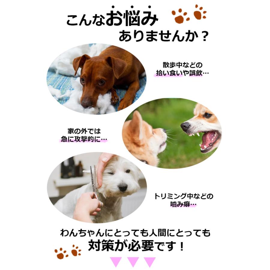 中型犬用予防 MouthFit マウスフィット 犬用マズル 犬 しつけ 口輪 ペット